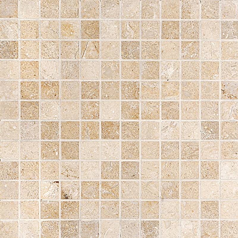 Seashell Honed 1x1 Limestone Mosaic 12x12