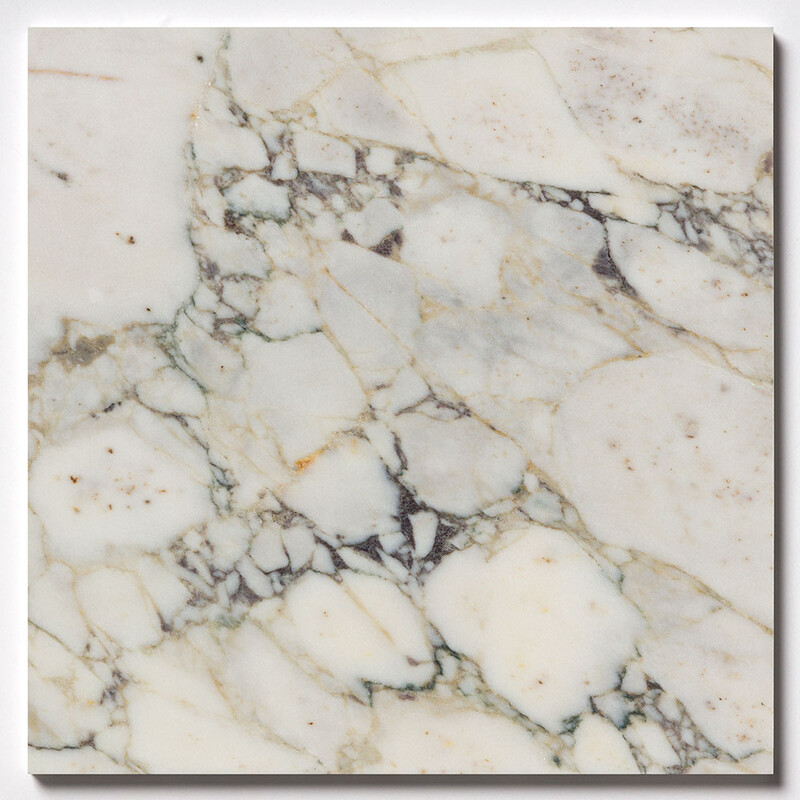 Calacatta Picasso Honed  Marble Tile 24x24